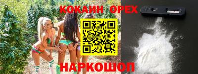 jwh Будённовск