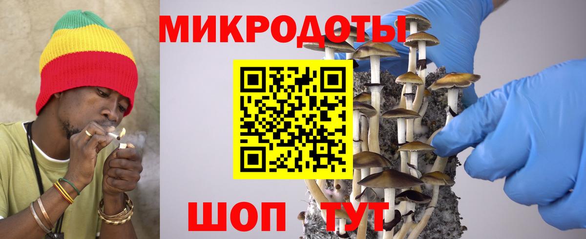 Псилоцибиновые грибы Cubensis Нурлат